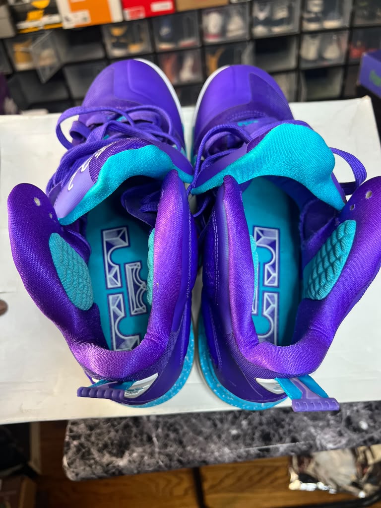 Nike LeBron 9 "Summit Lake Hornets" (Style Code: 469764-500) *NEW*