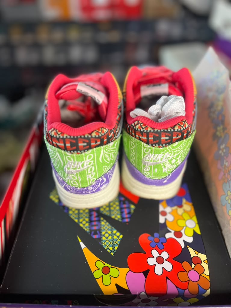 Concepts x Nike Air Max 1 SP "Far Out" (Style Code: DN1803-500) *PRE-LOVED*