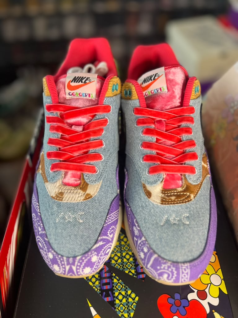 Concepts x Nike Air Max 1 SP "Far Out" (Style Code: DN1803-500) *PRE-LOVED*