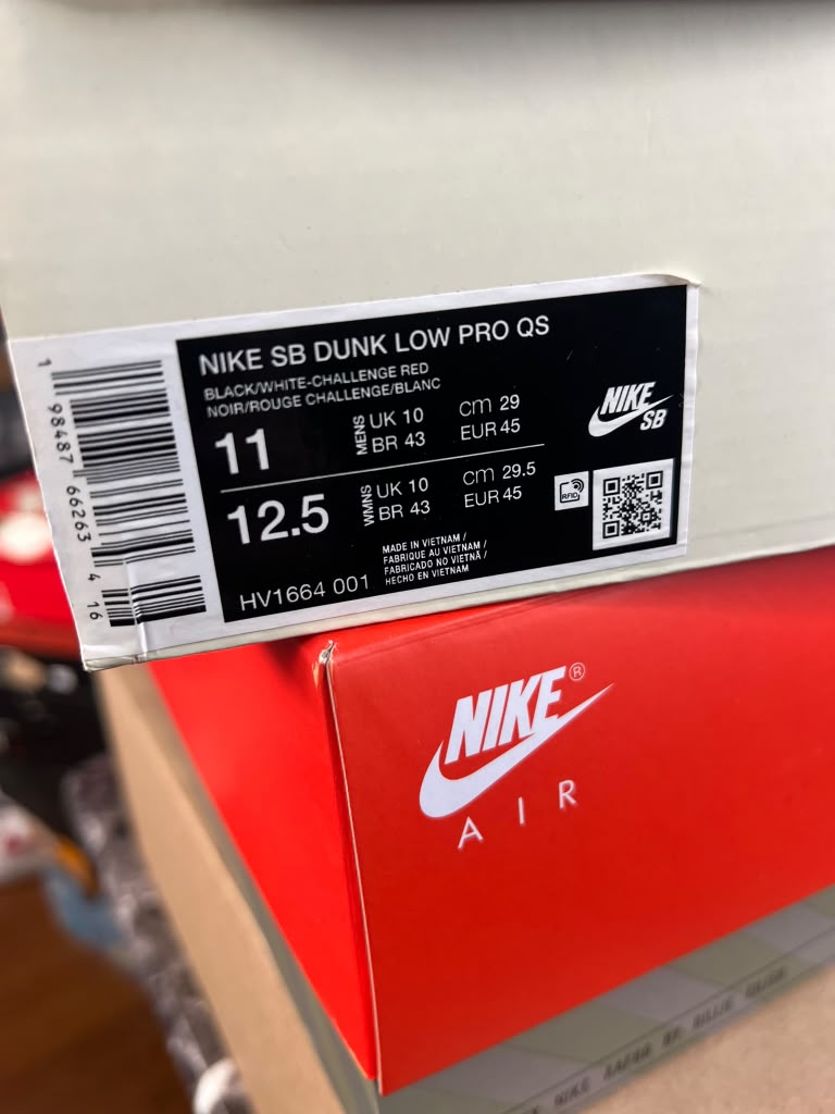 Bronx Girls Skate x Nike SB Dunk Low Pro QS "BXGS" (Style Code: HV1664-001) *NEW*