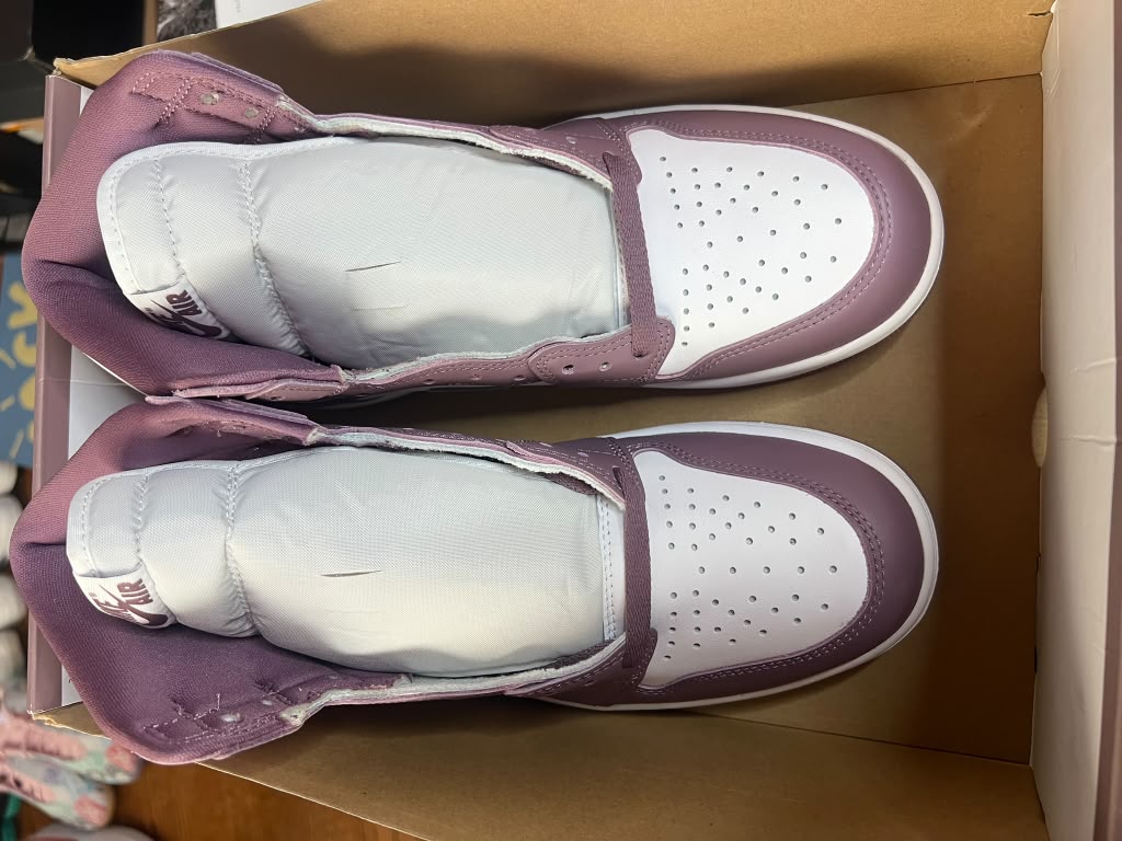 Air Jordan 1 Retro High OG "Mauve" (Style Code: DZ5485-105) *NEW*