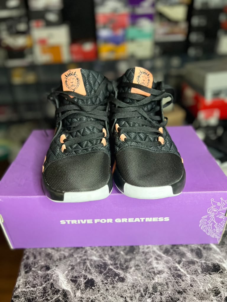 Nike LeBron Witness 8 "Black / Apricot Agate" (Style Code: HQ2139-001) *PRE-LOVED*