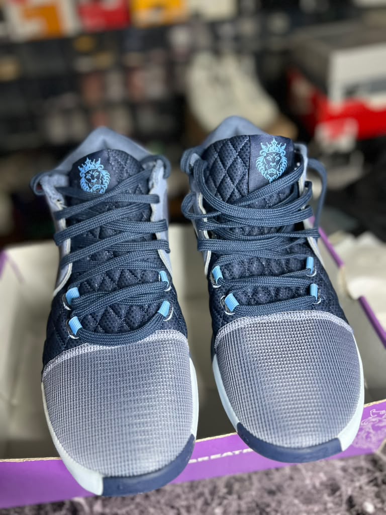 Nike LeBron Witness 8 "Ashen Slate / Sierra Canyon" (Style Code: FB2239-400) *PRE-LOVED*